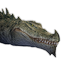 Crocodile