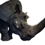 Greater Rhinoceros