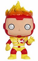 91 Firestorm DC Universe Funko pop