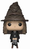 69 Sorting Hat Hermione NYCC 18 / B&N Harry Potter Funko pop