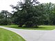 Longwood Gardens Pennsylvania 186.jpg