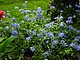 Longwood Gardens Pennsylvania 30.jpg