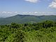 Photo Blueridge Mountains Virginia Smokey Smokies 51.jpg