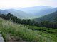 Photo Blueridge Mountains Virginia Smokey Smokies 61.jpg