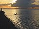 Tampa Bay Sunrise Florida 65.JPG