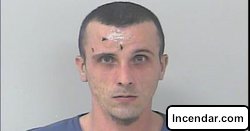 Florida man arrested after traffic crash found with fake urine says its for role play with spouse