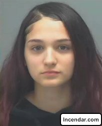 Florida Girl 14 Makes Like A Florida Man Teen stole deliverymans car for rendezvous with beau